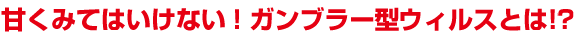 甘く見てはいけない!ガンブラー型ウィルスとは!?